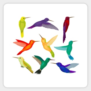 hummingbirds colorful collection Sticker